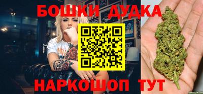 Альфа ПВП Аргун