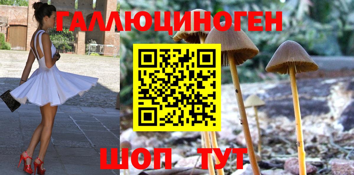 Братск  наркота  Псилоцибиновые грибы ЛСД  Вход с VPN  Галлюциногенные грибы Magic Shrooms 