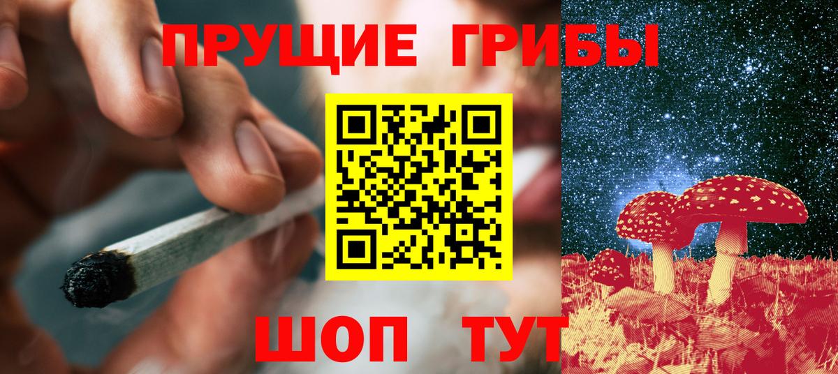 Псилоцибиновые грибы мицелий Братск