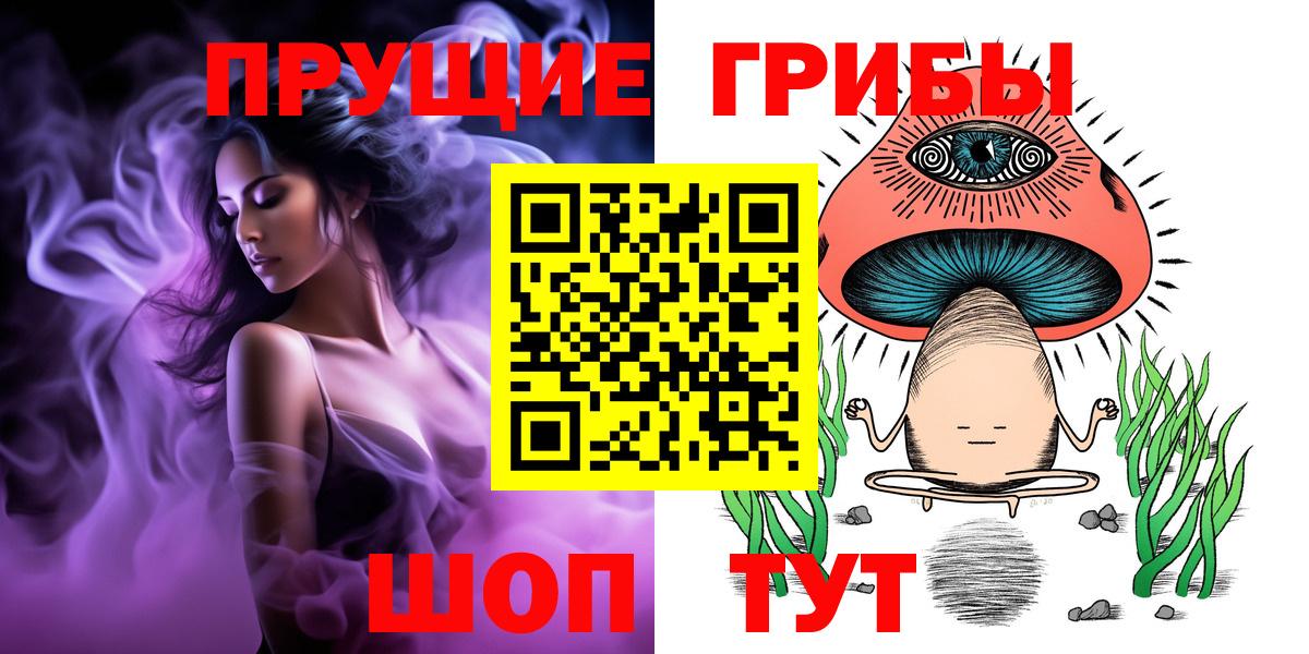 Галлюциногенные грибы Psilocybine cubensis  Братск 